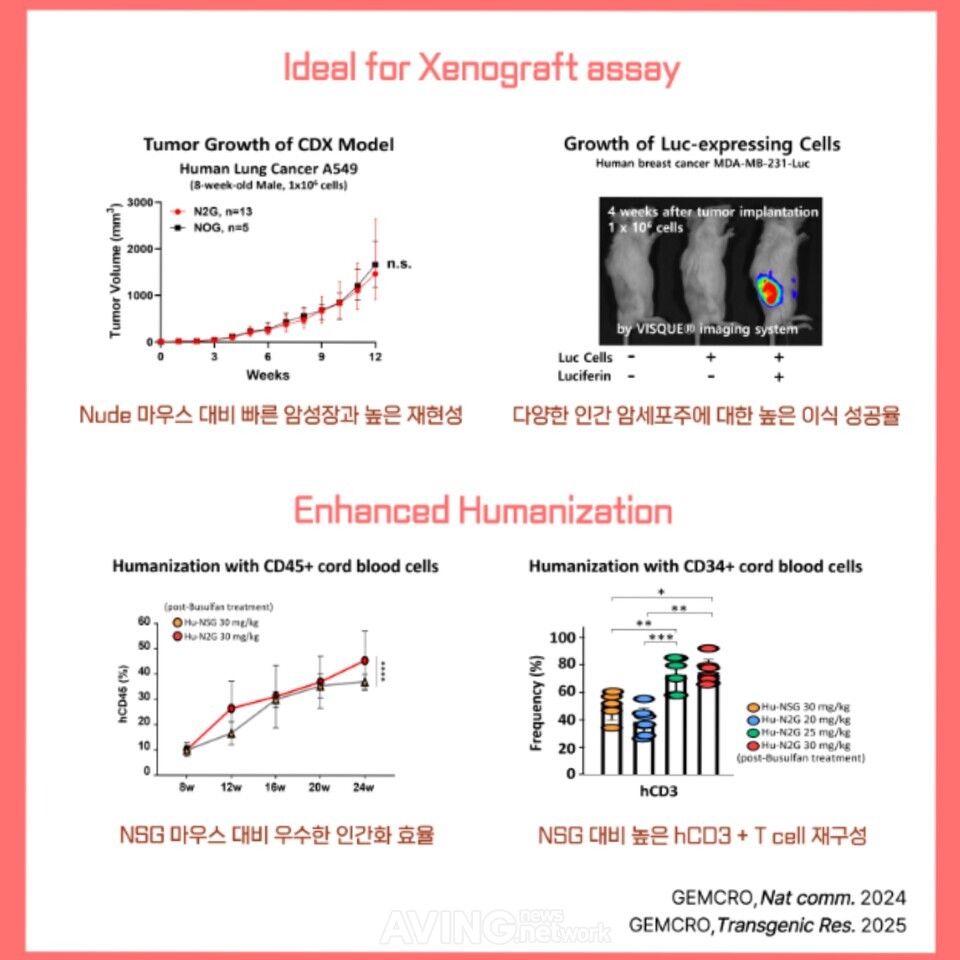 N2G, immunodeficient model for xenograft